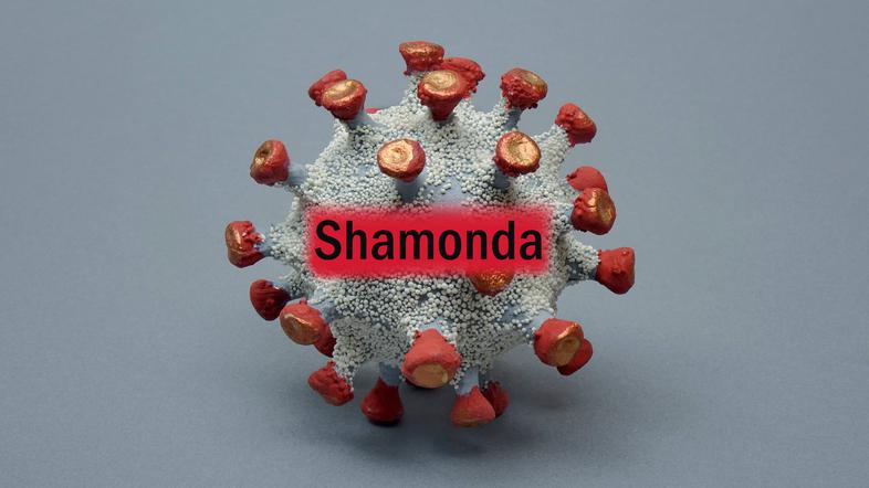 Shamonda-like