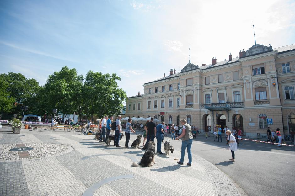 Festival za ljubitelje živali v Novi Gorici | Avtor: Anže Petkovšek