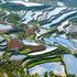 Yunnan, Kitajska