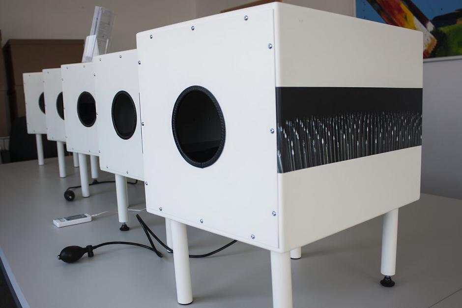 Bolečinski senzorij | Avtor: Andreja Cilenšek