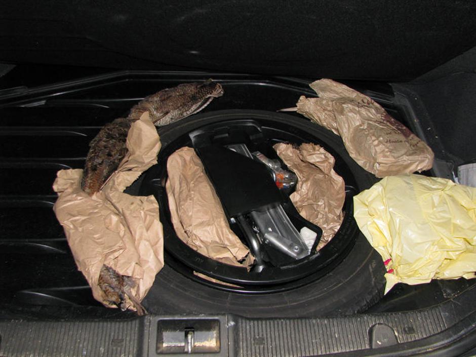  | Avtor: Žurnal24 main