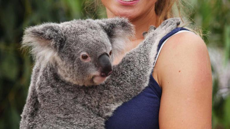 Brisbane 2010 Jelena Dokic kenguruji