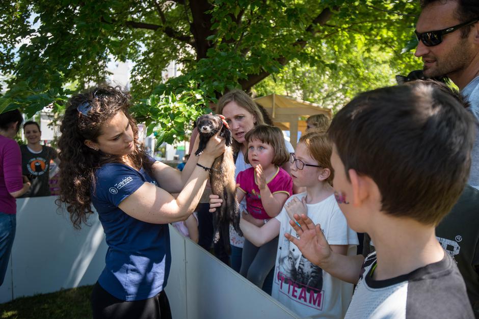 Dežela prijateljev v Novi Gorici | Avtor: Anže Petkovšek