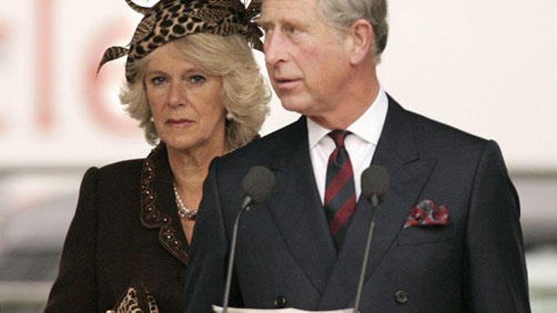 Charles bi rad imel kraljico.