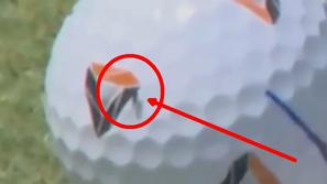 Muha na golf žogici