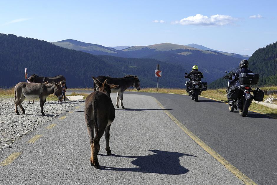 Romunija, potovanje z dacia dusterjam | Avtor: Matija_Janežič