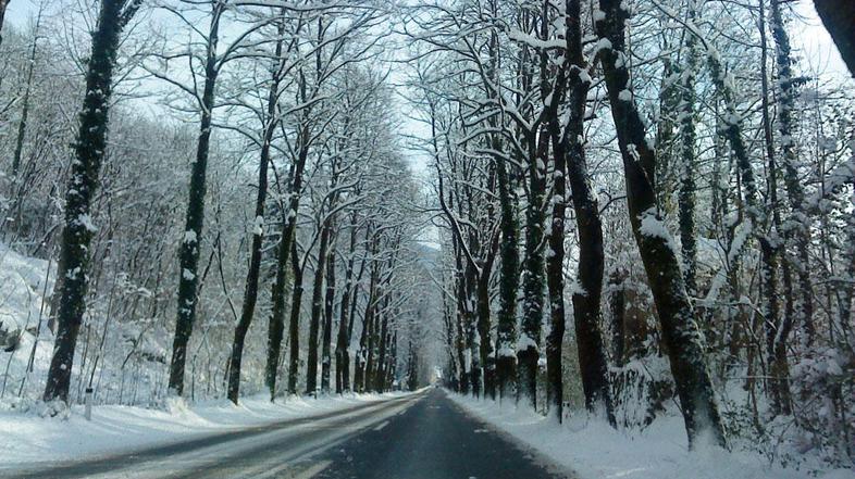 Današnji posnetek s Kobarida (Foto: Bralka)