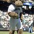 Mariner Moose (Seattle Mariners)