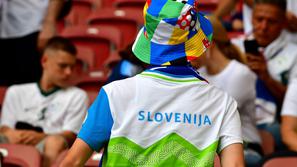 Navijač Slovenije