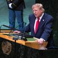 Donald Trump ZN