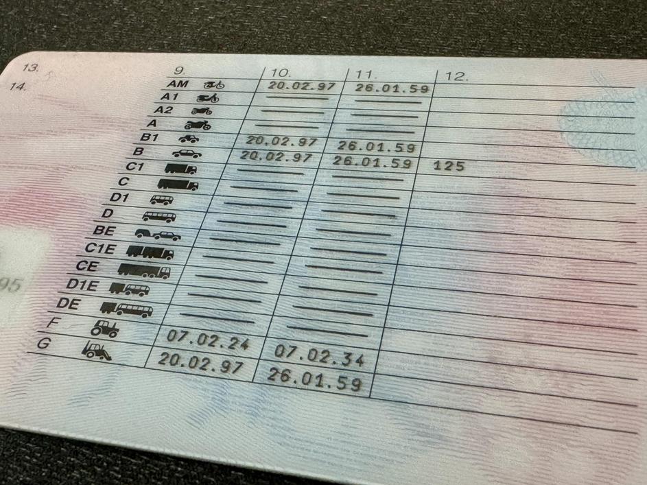 Vozniško dovoljenje