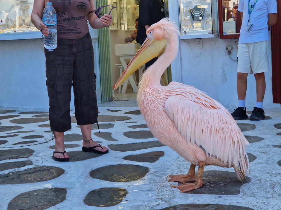 Križarjenje po vzhodnem Sredozemlju | Avtor: Gregor Prebil