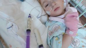 Društvo Viljem Julijan