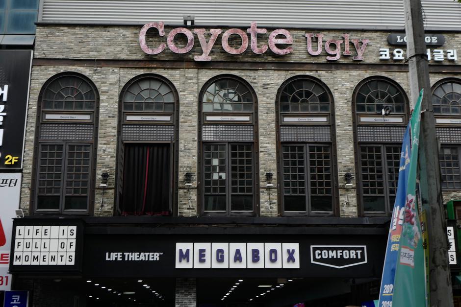 Nočni klub | Avtor: Epa