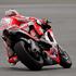 Nicky Hayden (Ducati)