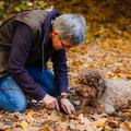 Tourismus Graz, Turizem Gradec