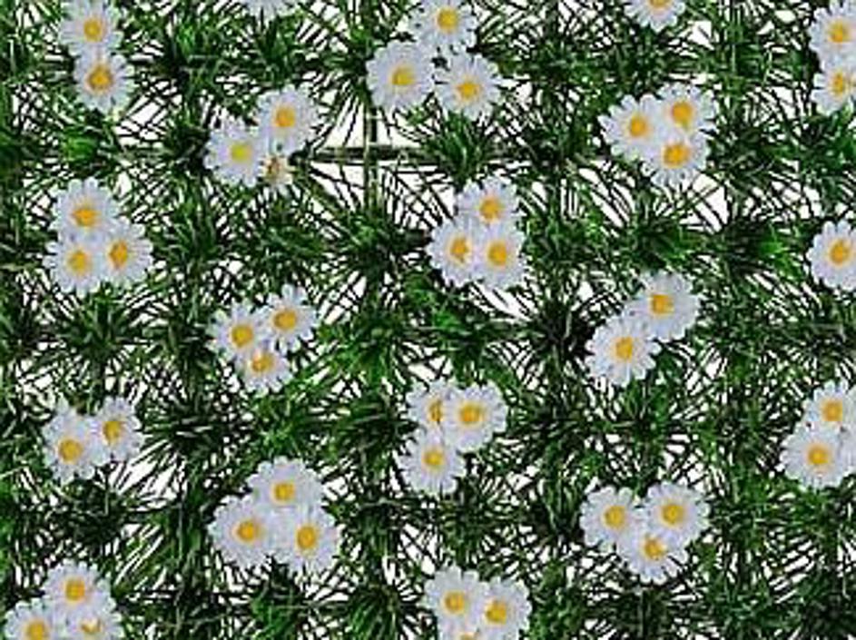 Travnik v stanovanju? Tudi te sanje so uresničljive!