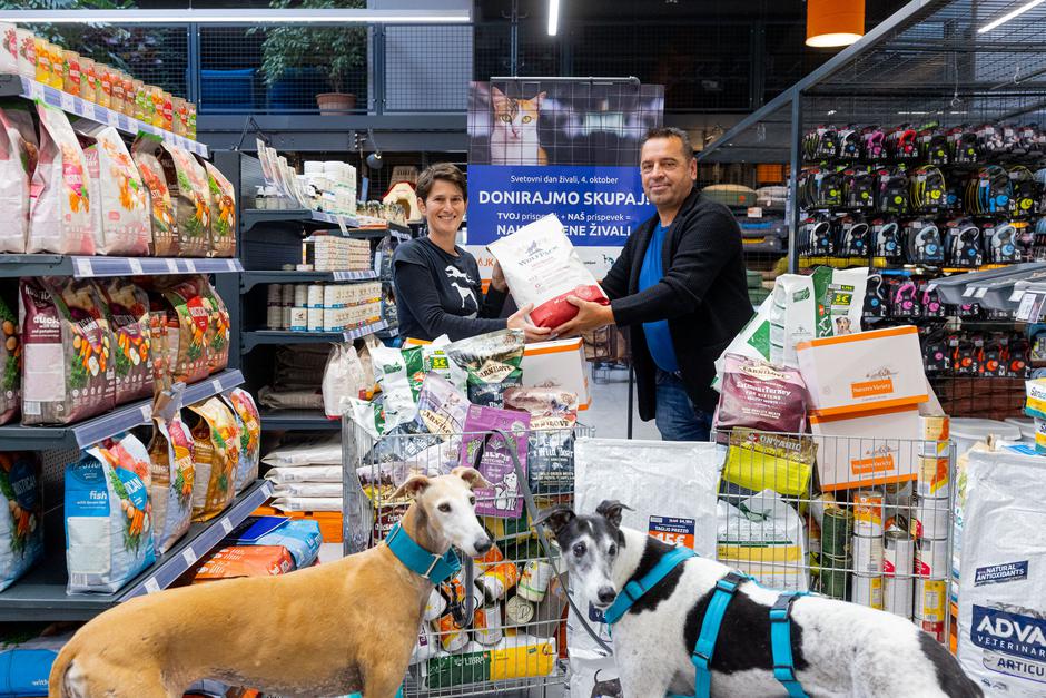 Mr. Pet | Avtor: Mr. Pet