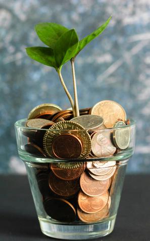 Denar, varčevanje, prihranki, investicija