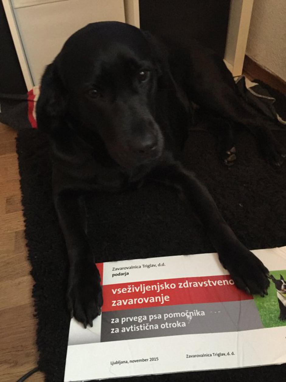 Tara | Avtor: Andreja Cilenšek