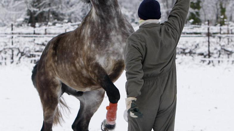Danes se lahko prepustite zimskim radostim. (Foto: EPA)