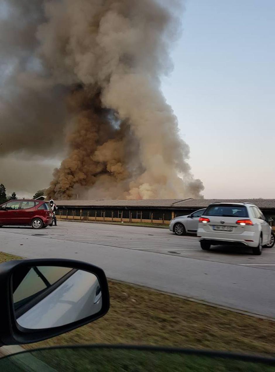 Požar Straža | Avtor: Dolenjska News