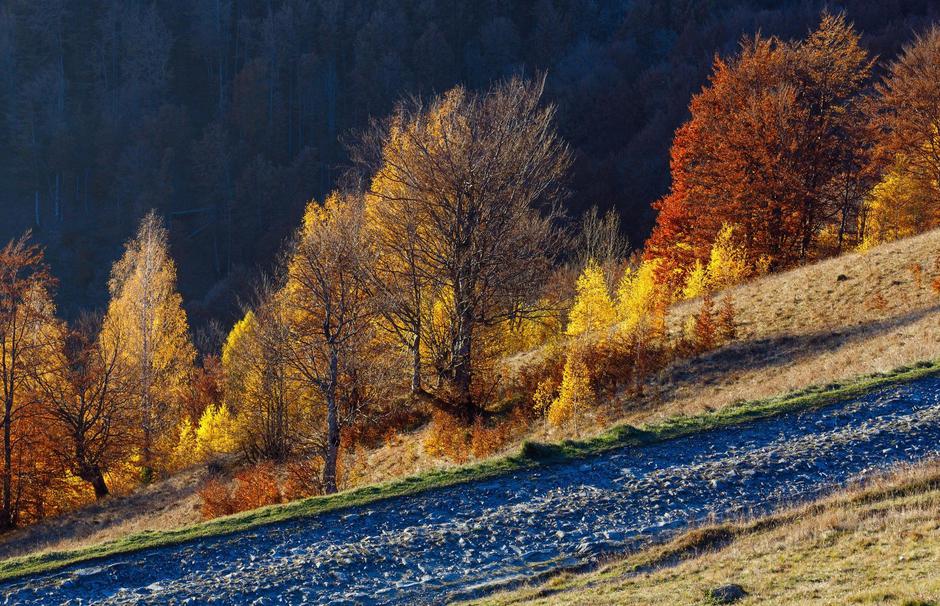 Jesen | Avtor: Profimedia