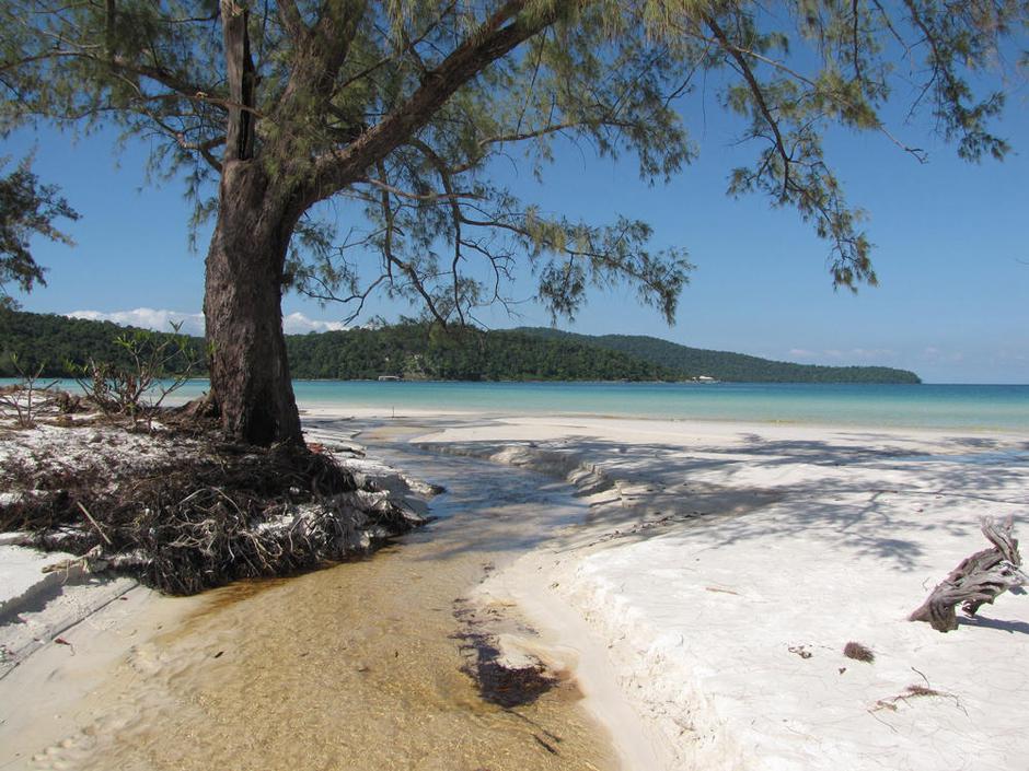  | Avtor: Žurnal24 main