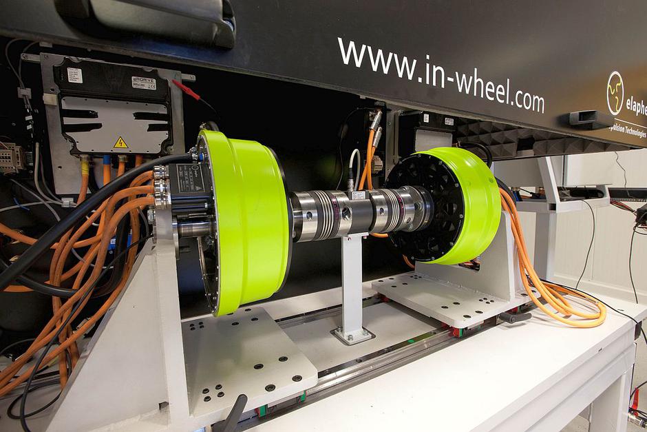 Elaphe | Avtor: Elaphe