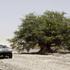 Dakar 2010 12. etapa