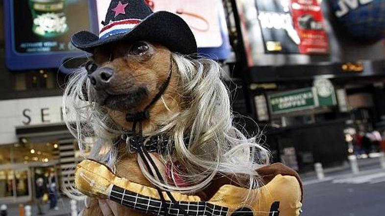 Čivava Eli se je za nekaj ur spremenila v Naked Cowboya, znamenitega "buskerja" 