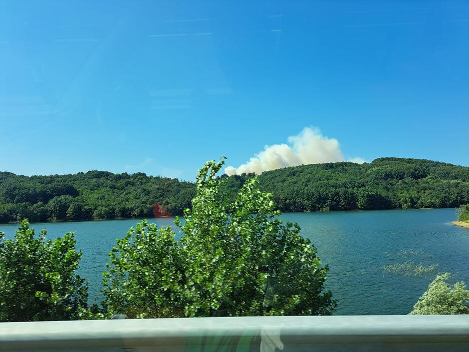 požar Kras | Avtor: Natalja Pešić/Facebook