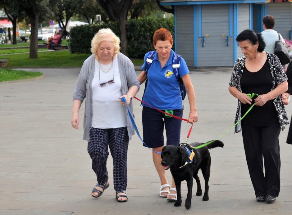 Tačke pomagačke | Avtor: Arhiv Tačke pomagačke