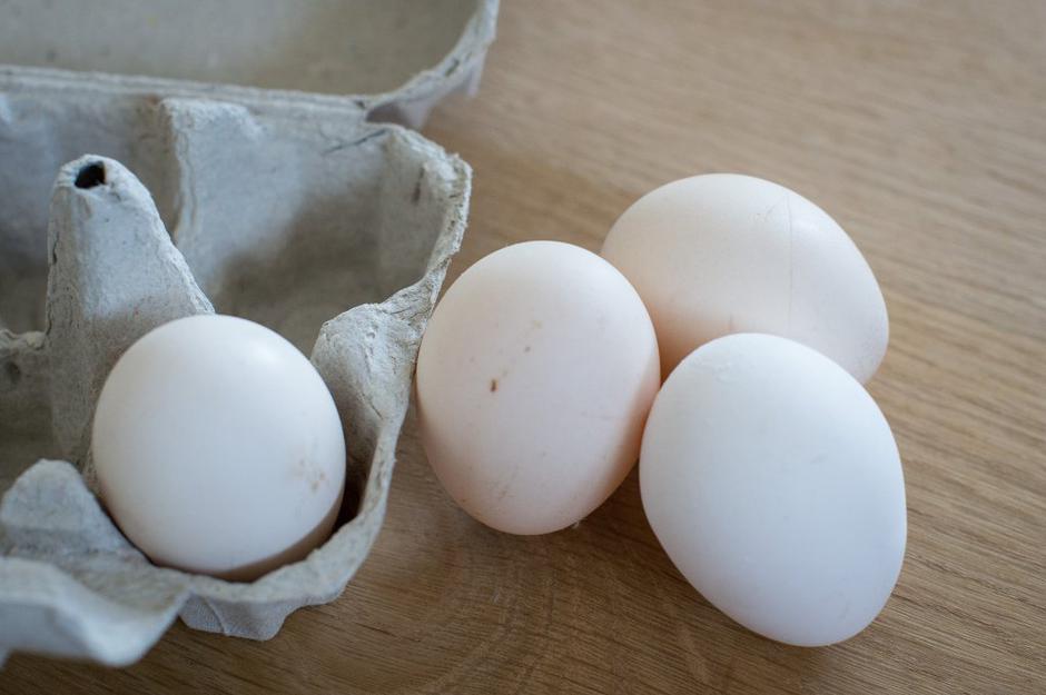 jajca | Avtor: Anže Petkovšek