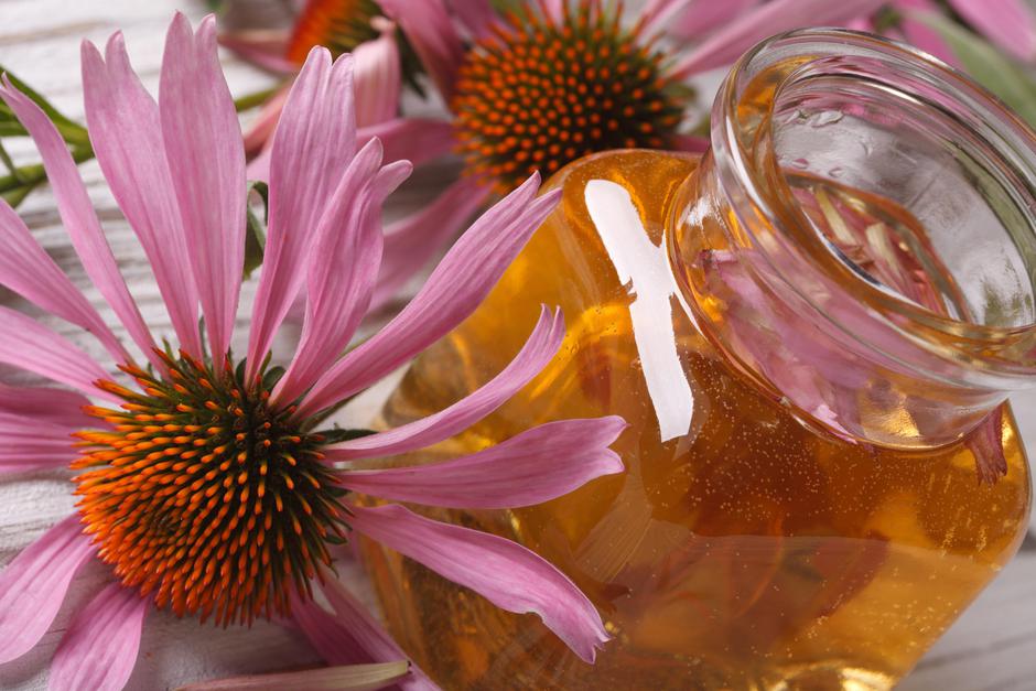 Tiktura z ameriškega slamnika | Avtor: Profimedia