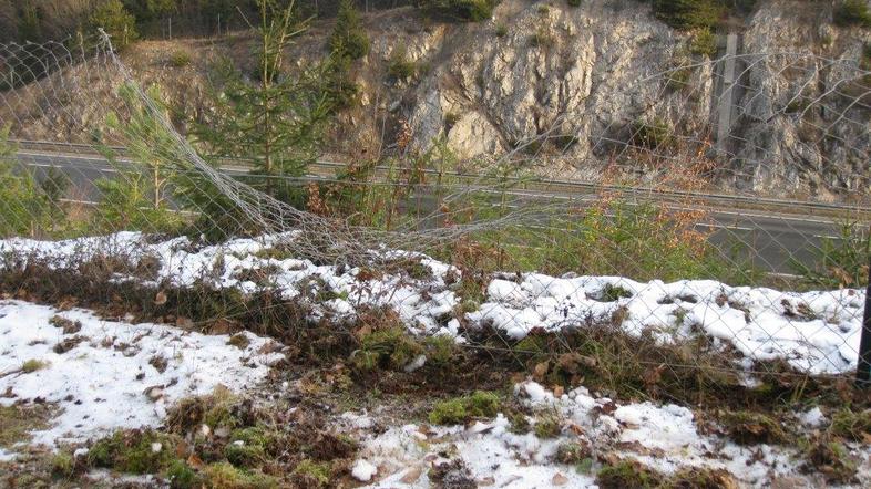 Poškodovana ograja medved