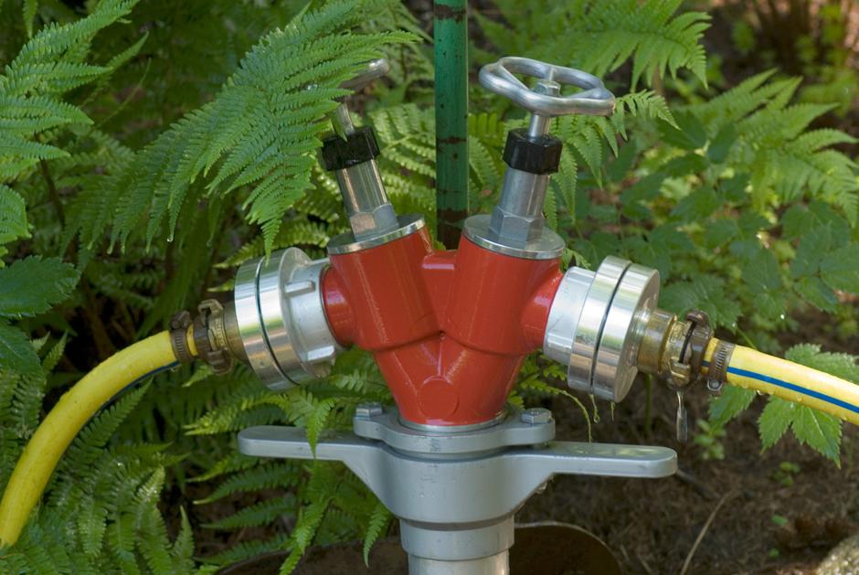 zelenjavni vrt | Avtor: Profimedia