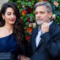 amal clooney, george clooney