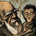 Darwinova teorija evolucije ni popolna.