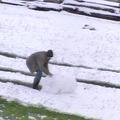 V vasi Žabljak, ki leži na gori Durmitor 1456 metrov nad morjem, jih je presenet