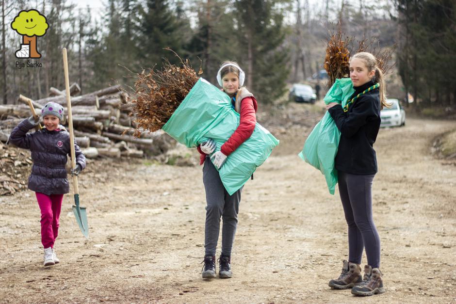 Obnovimo gozdove | Avtor: Pija Šarko
