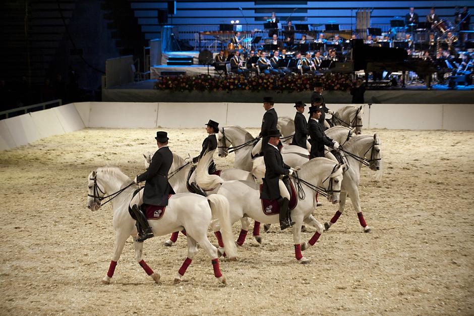 V Kobilarni Lipica ne želijo, da bi nenaden pogin konj zasenčil petkov vrhunski  | Avtor: Žurnal24 main