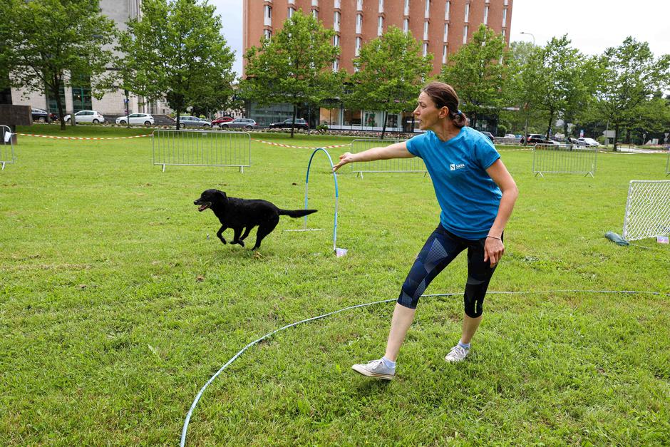 Festival za ljubitelje živali 2023 | Avtor: Saša Despot