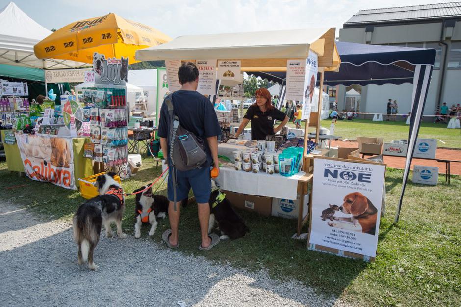 sejem 2016 | Avtor: Anže Petkovšek