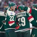 minnesota wild