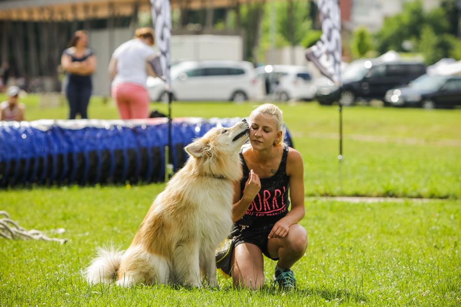 Festival za živali