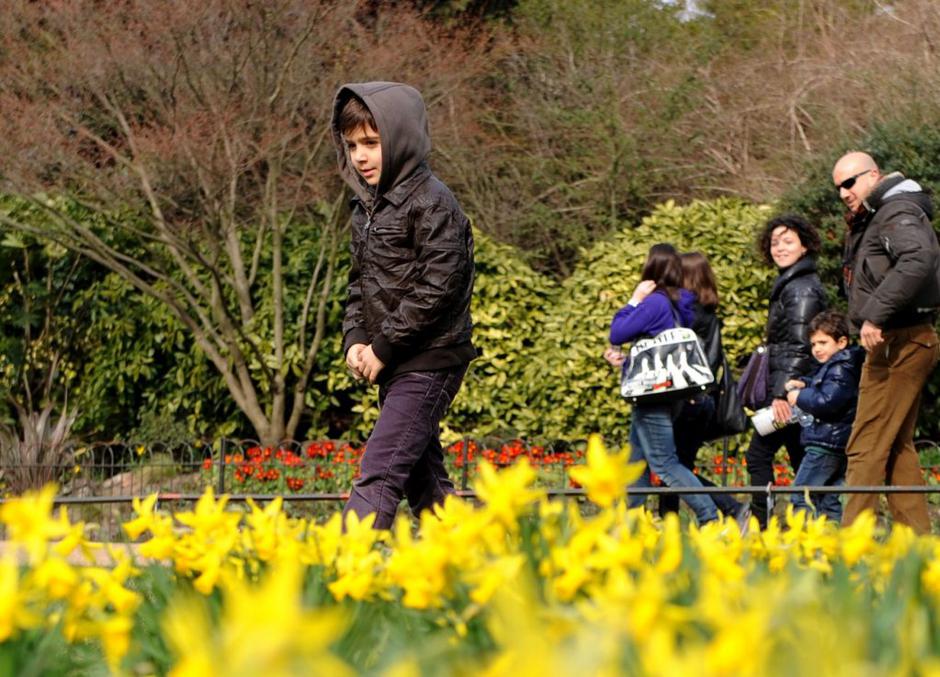 Hladno vreme | Avtor: EPA