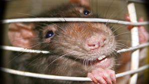 (Foto: Shutterstock)