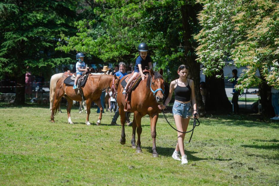Festival za ljubitelje žiivali | Avtor: Anže Petkovšek