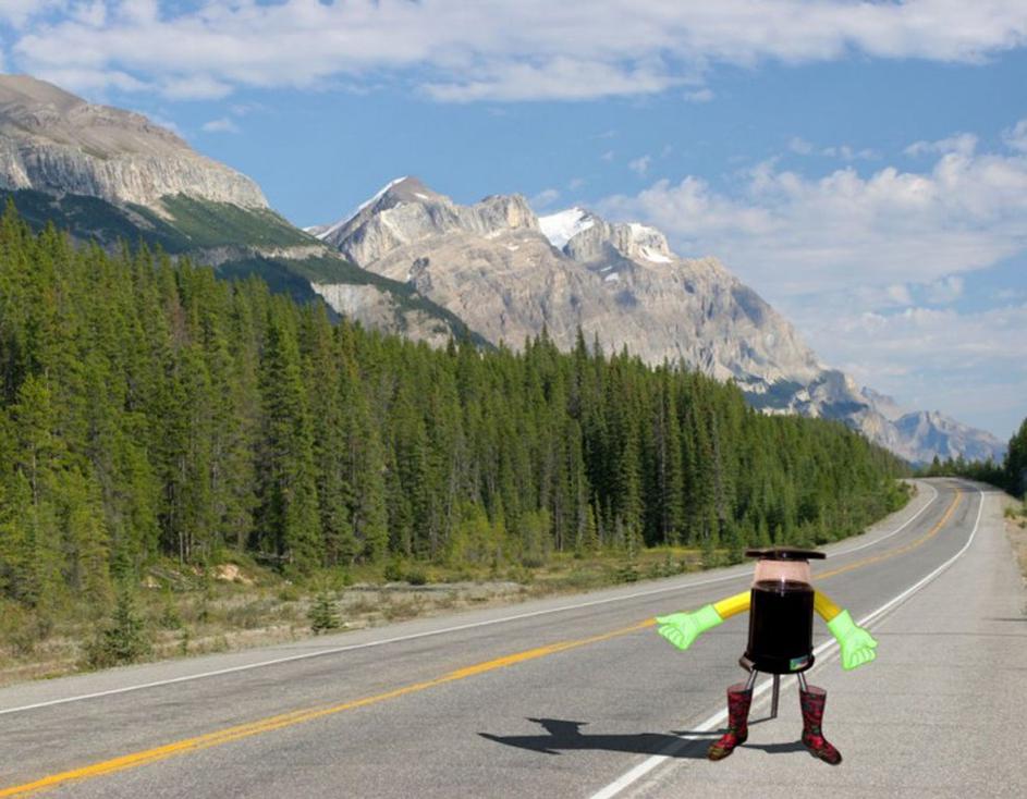 Hitchbot